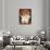 Mia Cucina-Jennifer Garant-Giclee Print displayed on a wall
