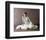 Mia Farrow, Death on the Nile (1978)-null-Framed Photo