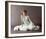 Mia Farrow, Death on the Nile (1978)-null-Framed Photo