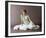 Mia Farrow, Death on the Nile (1978)-null-Framed Photo