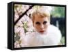 Mia Farrow-null-Framed Stretched Canvas