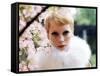 Mia Farrow-null-Framed Stretched Canvas