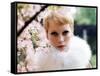 Mia Farrow-null-Framed Stretched Canvas