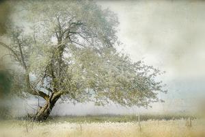 Tree in Field of Flowers by Mia Friedrich