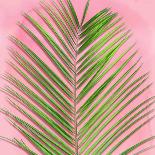 Palm Green II-Mia Jensen-Art Print