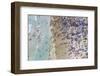 Miami Beach 2-Art Wolfe-Framed Photographic Print