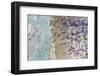 Miami Beach 2-Art Wolfe-Framed Photographic Print