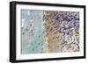 Miami Beach 2-Art Wolfe-Framed Photographic Print