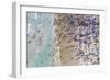 Miami Beach 2-Art Wolfe-Framed Photographic Print