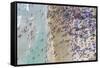 Miami Beach 2-Art Wolfe-Framed Stretched Canvas