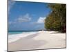 Miami Beach, Barbados, Windward Islands, West Indies, Caribbean, Central America-Michael DeFreitas-Mounted Photographic Print