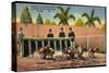 Miami Beach Florida, Breing from Starting Box, Dog Track, Hunderennen-null-Stretched Canvas