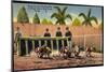 Miami Beach Florida, Breing from Starting Box, Dog Track, Hunderennen-null-Mounted Giclee Print