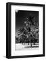 Miami Beach - South Beach - Florida-Philippe Hugonnard-Framed Photographic Print