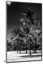 Miami Beach - South Beach - Florida-Philippe Hugonnard-Mounted Photographic Print