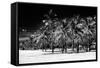 Miami Beach - South Beach - Florida-Philippe Hugonnard-Framed Stretched Canvas