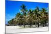 Miami Beach - South Beach - Florida-Philippe Hugonnard-Mounted Photographic Print