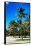 Miami Beach - South Beach - Florida-Philippe Hugonnard-Framed Stretched Canvas