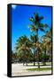 Miami Beach - South Beach - Florida-Philippe Hugonnard-Framed Stretched Canvas