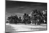 Miami Beach - South Beach - Florida-Philippe Hugonnard-Mounted Photographic Print