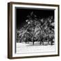 Miami Beach - South Beach - Florida-Philippe Hugonnard-Framed Photographic Print