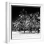 Miami Beach - South Beach - Florida-Philippe Hugonnard-Framed Photographic Print