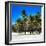 Miami Beach - South Beach - Florida-Philippe Hugonnard-Framed Photographic Print