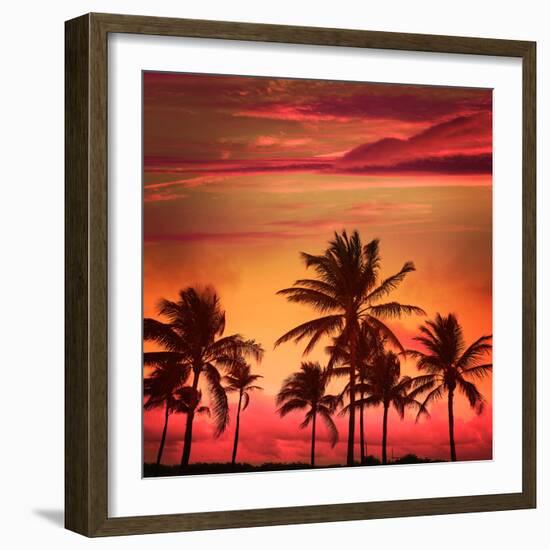 Miami Beach South Beach Sunset Palm Trees in Ocean Drive Florida-holbox-Framed Photographic Print