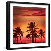 Miami Beach South Beach Sunset Palm Trees in Ocean Drive Florida-holbox-Framed Photographic Print