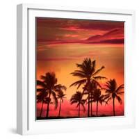 Miami Beach South Beach Sunset Palm Trees in Ocean Drive Florida-holbox-Framed Photographic Print