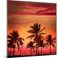 Miami Beach South Beach Sunset Palm Trees in Ocean Drive Florida-holbox-Mounted Photographic Print