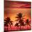Miami Beach South Beach Sunset Palm Trees in Ocean Drive Florida-holbox-Mounted Photographic Print