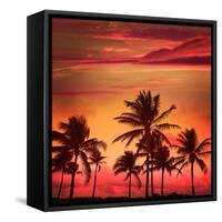 Miami Beach South Beach Sunset Palm Trees in Ocean Drive Florida-holbox-Framed Stretched Canvas