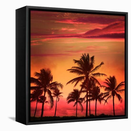 Miami Beach South Beach Sunset Palm Trees in Ocean Drive Florida-holbox-Framed Stretched Canvas