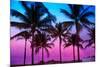 Miami Beach South Beach Sunset Palm Trees in Ocean Drive Florida-holbox-Mounted Photographic Print