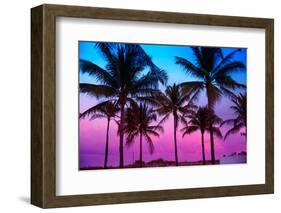 Miami Beach South Beach Sunset Palm Trees in Ocean Drive Florida-holbox-Framed Photographic Print