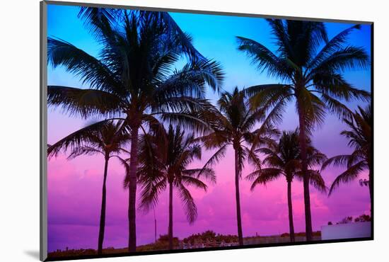 Miami Beach South Beach Sunset Palm Trees in Ocean Drive Florida-holbox-Mounted Photographic Print