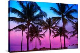 Miami Beach South Beach Sunset Palm Trees in Ocean Drive Florida-holbox-Stretched Canvas