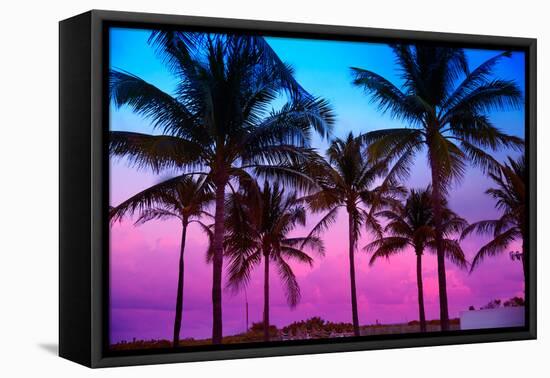 Miami Beach South Beach Sunset Palm Trees in Ocean Drive Florida-holbox-Framed Stretched Canvas