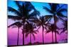 Miami Beach South Beach Sunset Palm Trees in Ocean Drive Florida-holbox-Mounted Photographic Print