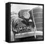 Miami Beach-Alfred Eisenstaedt-Framed Stretched Canvas