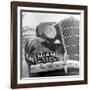 Miami Beach-Alfred Eisenstaedt-Framed Photographic Print