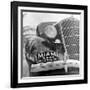 Miami Beach-Alfred Eisenstaedt-Framed Photographic Print