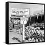 Miami Beach-Alfred Eisenstaedt-Framed Stretched Canvas