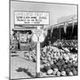 Miami Beach-Alfred Eisenstaedt-Mounted Photographic Print