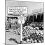 Miami Beach-Alfred Eisenstaedt-Mounted Photographic Print