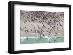 Miami Beach-Art Wolfe-Framed Photographic Print