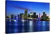 Miami City by Night-vent du sud-Stretched Canvas