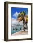 Miami City Tropical View over Sea from Dock in the Day with Blue Sky and Cloud.-Songquan Deng-Framed Photographic Print