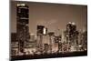 Miami Cityscape-CelsoDiniz-Mounted Photographic Print